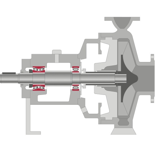 Pompe centrifuge avec roulements à billes et à rouleaux