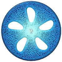 Michelin visionary tire concept